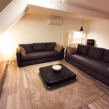 Cf26 75m2 Quiet Duplex Апартаменты Хайдельберг